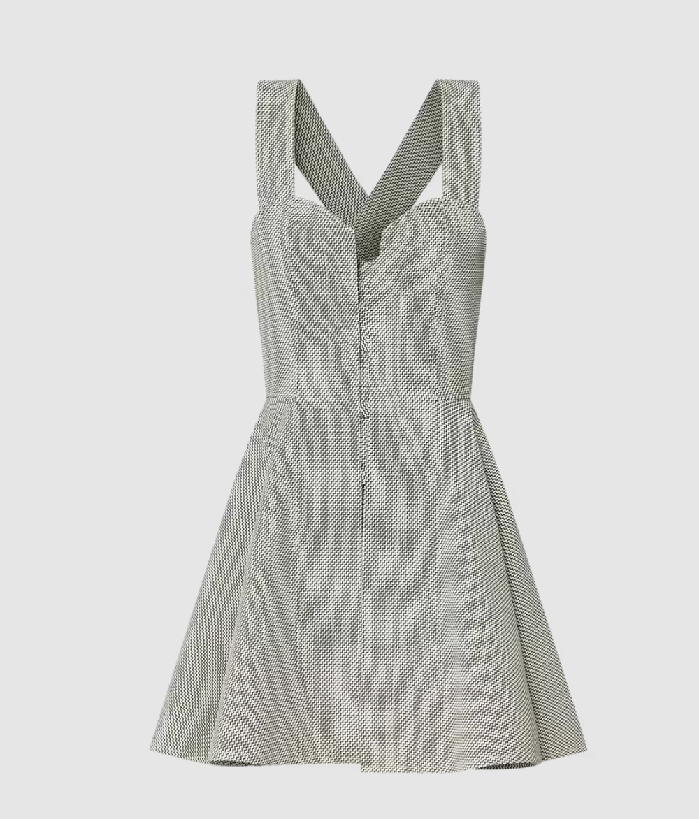 Louis Vuitton Zigzag Bodice Dress — UFO No More